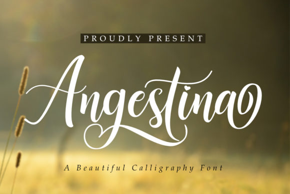 Angestina Typeface: A Script Amp Font That Elevates Digital Design
