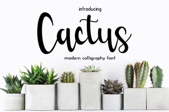 Cactus: A Script Font with Bold Personality