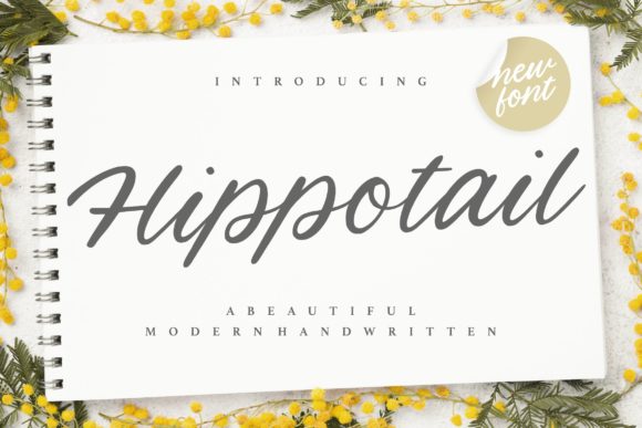 Hippotail: A Handwritten Typeface with Editorial Elegance
