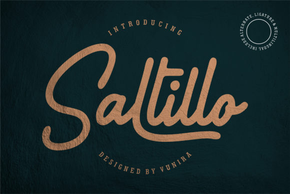 Saltillo Font: A Handwritten Typeface for Modern Web Design
